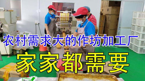 投資不到3萬的加工廠,5人每天8小時,4個月收入42萬,不得了