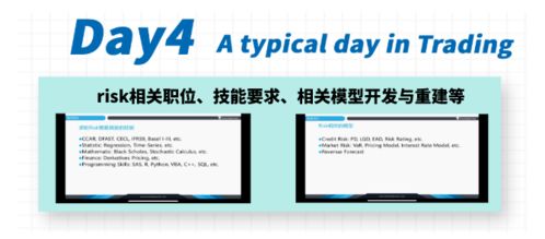 熱議 摩根大通首位女掌門 畢業生就該996