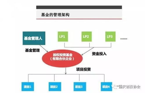一文讀懂股權投資 募投管退 全流程