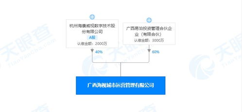 ?？低晠⑴c投資成立城市運營管理公司 經營范圍含安全系統監控服務等