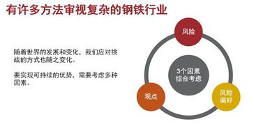 嘉吉投資王強 跨國企業的風險管理體系的構建與演變過程
