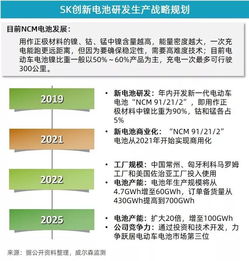 同比負增長,5月新能源乘用車市場增速放緩