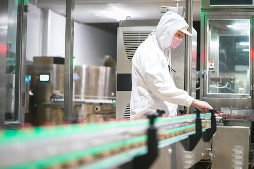 黑龍江全力保障乳制品市場供需平穩(wěn)